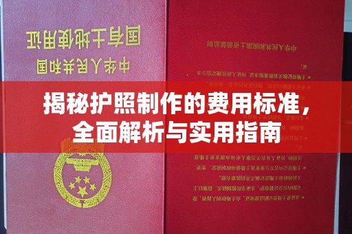 汶上揭秘护照制作的费用标准，全面解析与实用指南