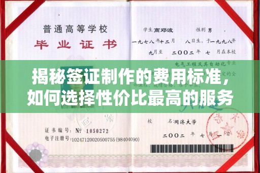 汶上揭秘签证制作的费用标准，如何选择性价比最高的服务？