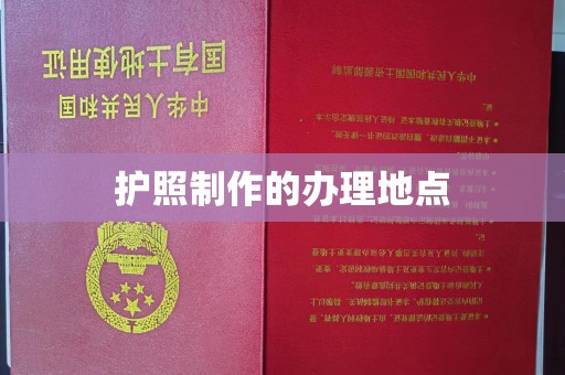 汶上护照制作的办理地点