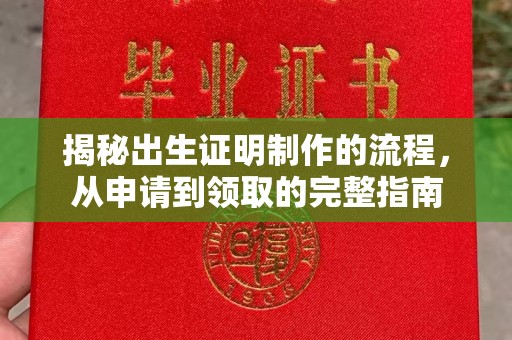 汶上揭秘出生证明制作的流程，从申请到领取的完整指南