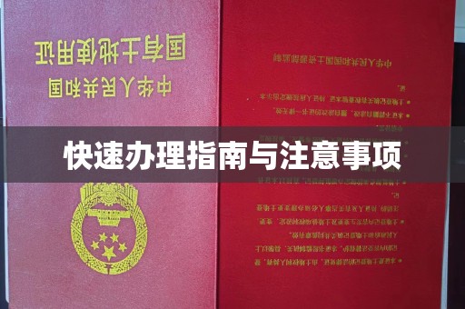汶上快速办理指南与注意事项